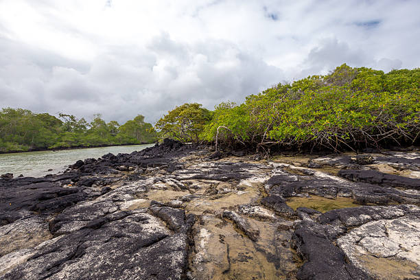istock Puerto Villamil, Isabela ,Galapagos 517636888