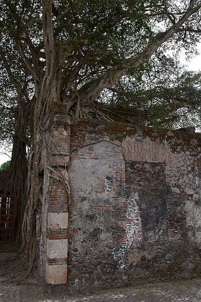 istock La Antigua, Veracruz 517638950