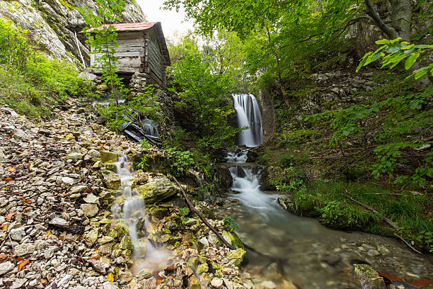 istock Beautiful waterfalls in the forest 517639205