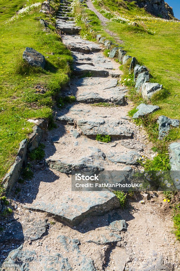 Stome flagged steps on path Stone slabs making stairs on a path surrounded by wild grass. Beauty In Nature Stock Photo