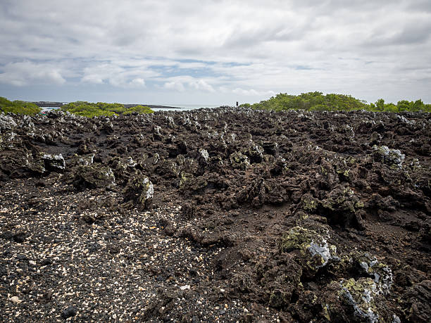 istock La calera galapagos 517639950