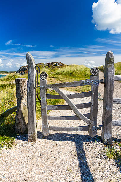 istock Ornate carved pedestrian gate 517639960