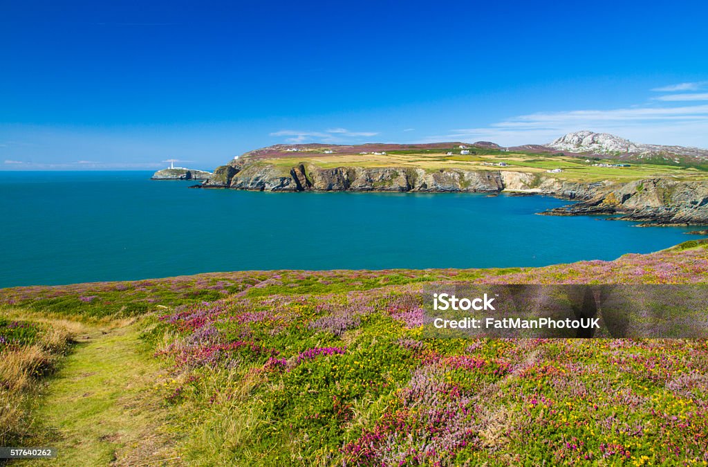 South Stack with lighthouse View of South Stack, Anglesey, Wales, including lighthouse.View of South Stack, Anglesey, Wales, including lighthouse Anglesey - Wales Stock Photo