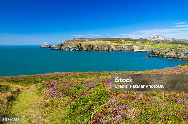 South Stack With Lighthouse Stock Photo - Download Image Now - Anglesey - Wales, Headland, South Stack Lighthouse
