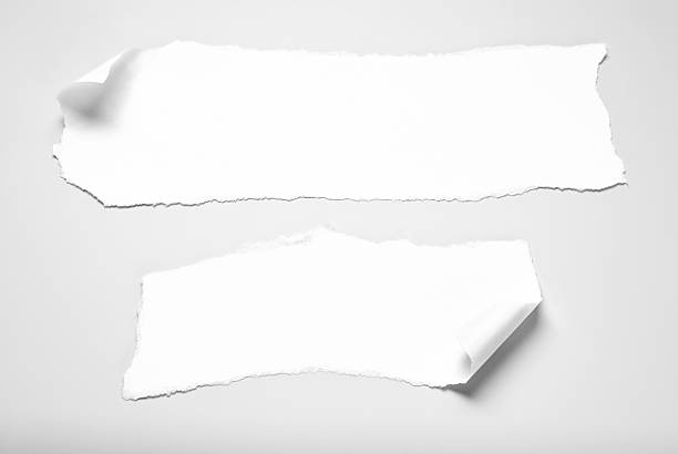 zwei papier papierstückchen aufschreiben mit gelockter ecken über grau hintergrund - cut or torn paper newspaper torn tearing stock-fotos und bilder