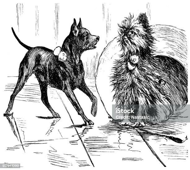 Pincher Stock Illustration - Download Image Now - Affenpinscher, Alertness, Animal