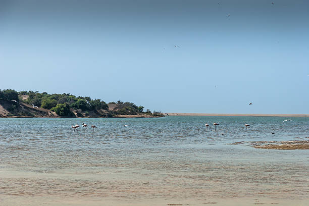 istock Souss Masa National Park 517641967
