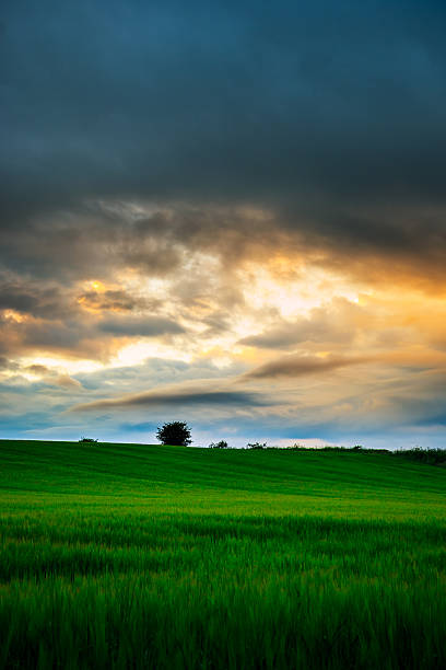 istock Sun setting over a landscape in Scotland 517642069