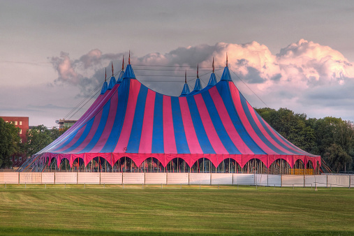 big top circus tent on grass in the park