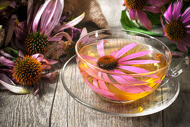 istock Cup of echinacea  tea on wooden table 517643185
