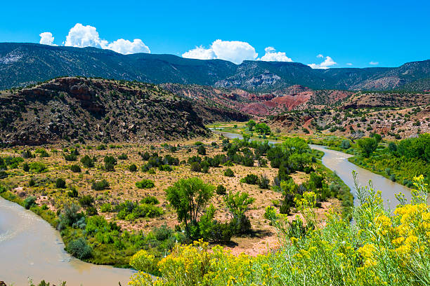 istock Rio Chama near Abiquiu 517643209