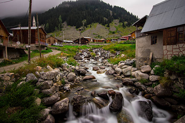 flusso - flowing rock national park waterfall foto e immagini stock