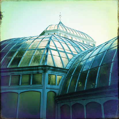 Victorian Greenhouse.  Photographed with an iPhone.