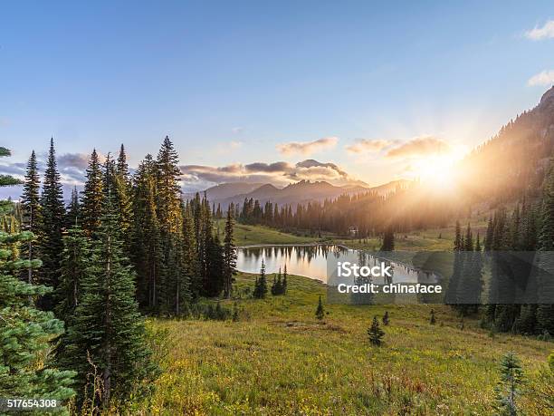 Mtrainier In Sunset Stock Photo - Download Image Now - Mountain, Washington State, Landscape - Scenery