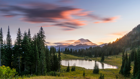 MT.Rainier National Park, WA, USA.