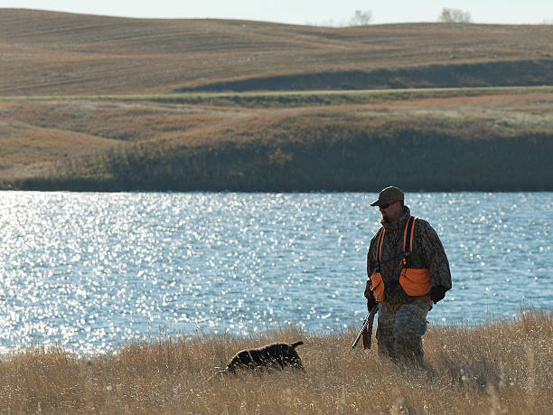 Pheasant Hunter and his dog stock photo