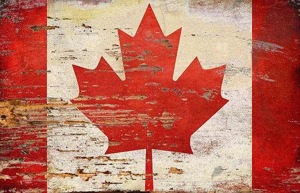 istock Flag of Canada, painted on a grunge plank 517658274
