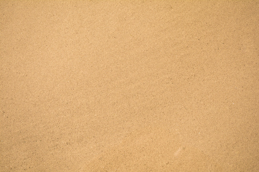 Summer. Sea shore. This sea sand photographed close-up.