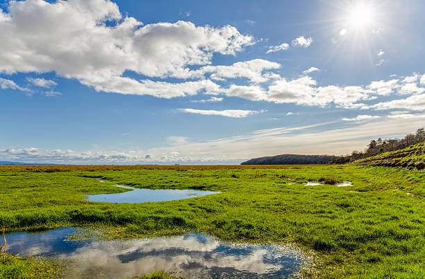 istock Clouds over fields, Grange-over-sands, Cumbria, England 517662506