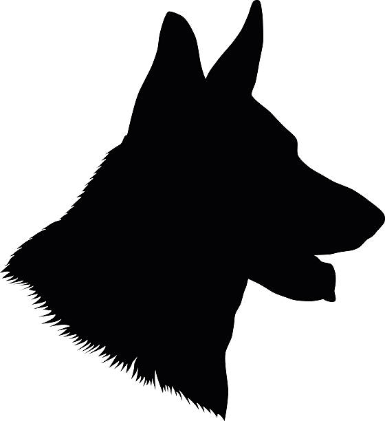 ilustrações de stock, clip art, desenhos animados e ícones de silhueta de cabeça de cão pastor alemão - german shepherd