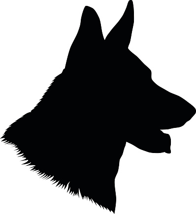 German shepherd dog head, black and white illustration