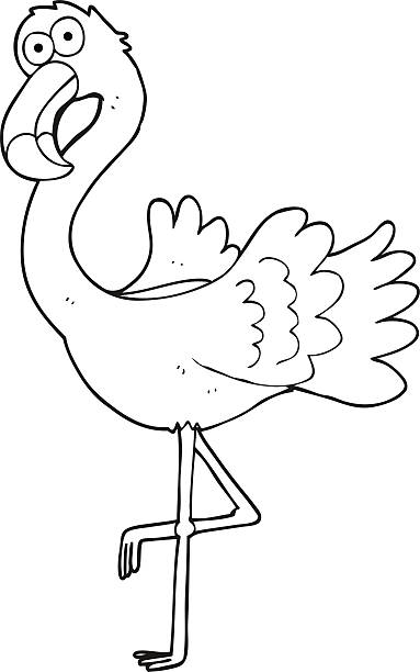 Black And White Cartoon Flamingo Stock Illustration - Download Image Now -  Flamingo, Bird, Bizarre - iStock