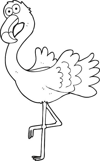 Black And White Cartoon Flamingo Stock Illustration - Download Image Now - Flamingo, Bird, Bizarre - iStock Black And White Cartoon Flamingo Stock Illustration - Download Image Now - Flamingo, Bird, Bizarre - iStock