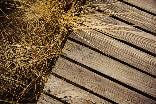 Planked wood in the dunes