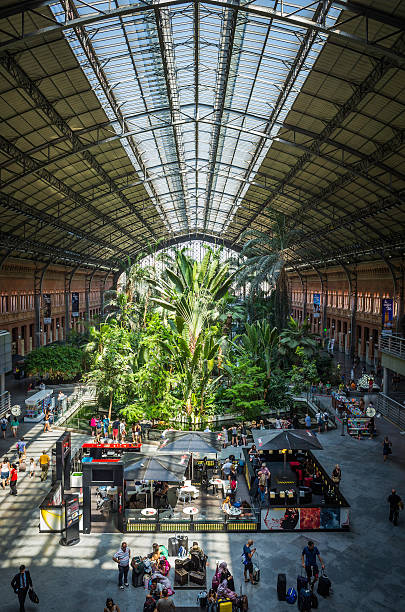 madri, estação de trem de atocha ocupado saguão jardim tropical verde, espanha - southern europe public transportation international landmark local landmark - fotografias e filmes do acervo