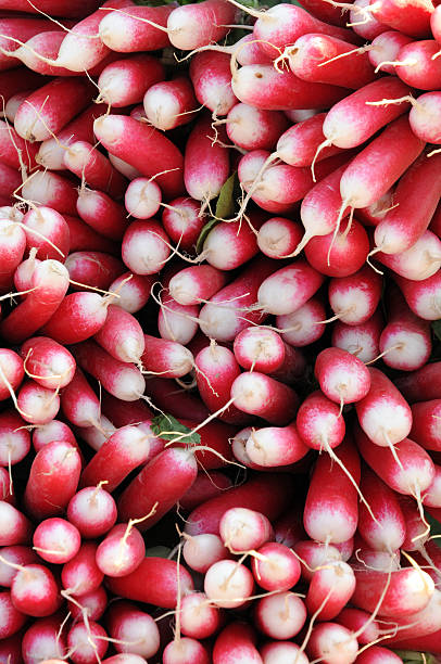 istock radishes on the market 517668940