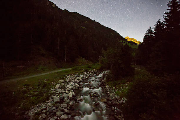 flusso nella foresta di montagna durante il tramonto - flowing rock national park waterfall foto e immagini stock