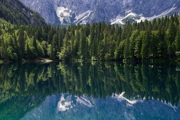 Reflection of trees and mountain in lake