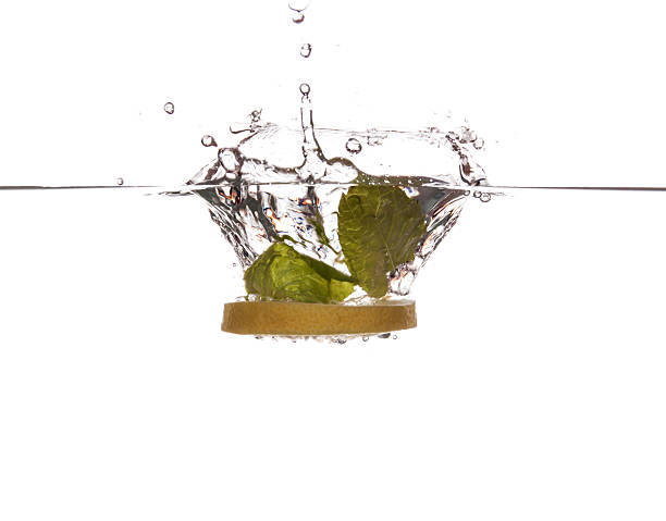 Mint leaves and lemon slice