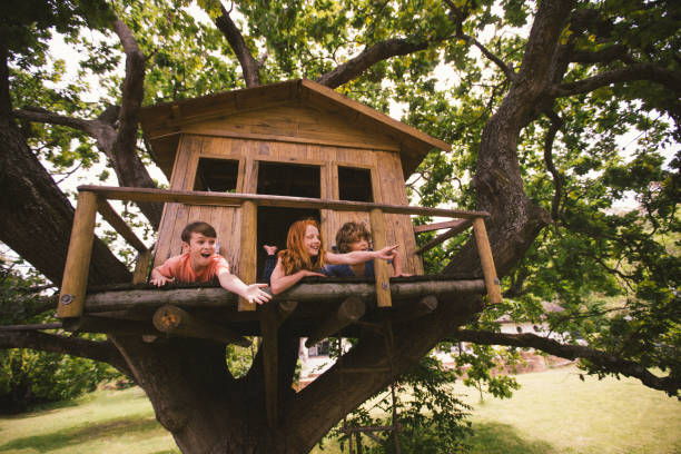 istock Childhood friends in a treehouse laughing and pointing 517674876