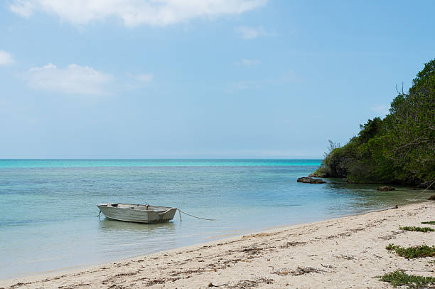 istock Saint Maurice Beach on the Isle of Pines 517674930