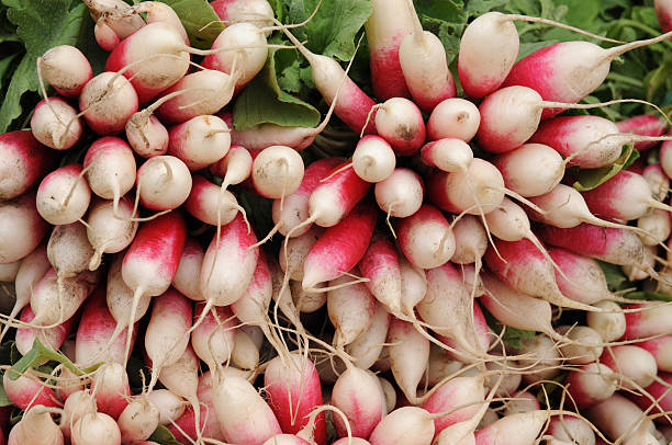 istock radishes on the market 517674970