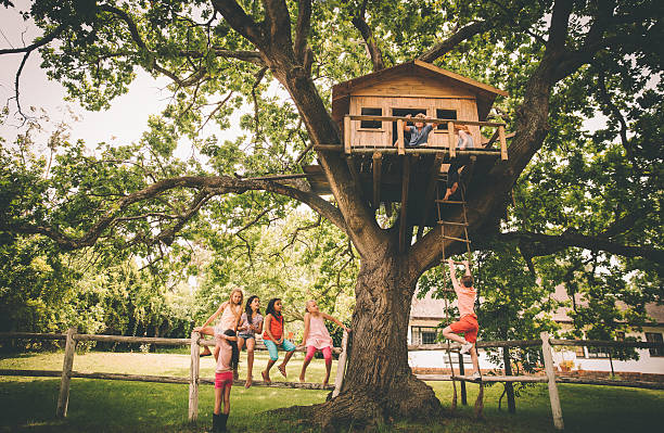 Children in a treehouse with boy climbing up rope ladder Two children playing in a rustic wooden treehouse situated in the branches of a huge green-leafed tree in a lush grassy park, with a boy climbing up the rope ladder girl climbing ladder stock pictures, royalty-free photos & images