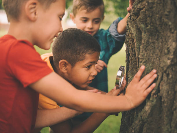 garçon étudiant un tronc d'arbre avec une loupe - summer recreation photos et images de collection