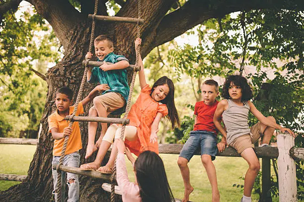 Photo of Children playing on fence and rope ladder in a park