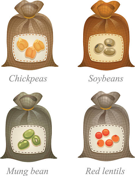 Four tied sacks with beans and peas labels on them Tied sacks with chickpeas, soybeans, mung beans, red lentils icons and names under them naming organic compounds stock illustrations