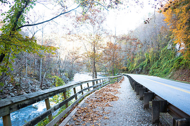 istock Fall in the Smoky Mountains 517679274