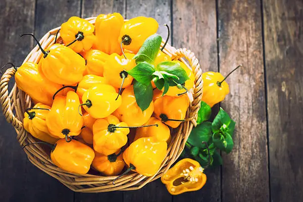 Photo of Fresh Habanero peppers on the wooden table