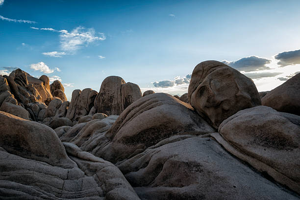 istock Joshua Tree National Park, California 517683458