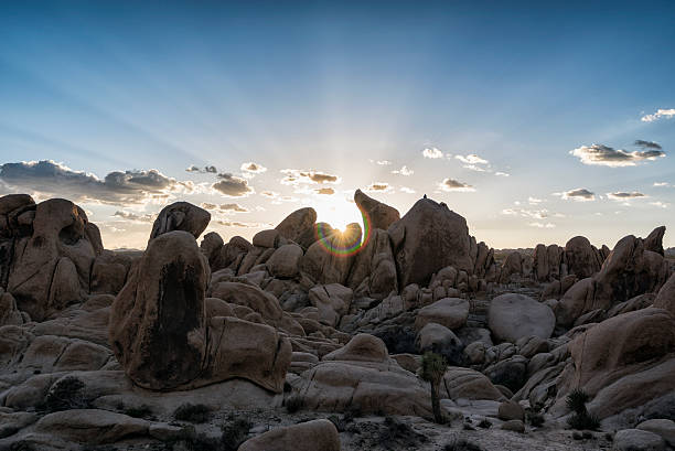 istock Joshua Tree National Park, California 517683500