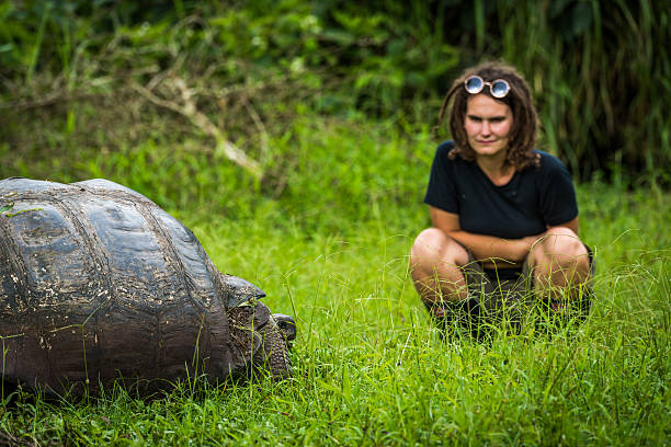 istock Woman staring intensely at Galapagos giant tortoise 517684976