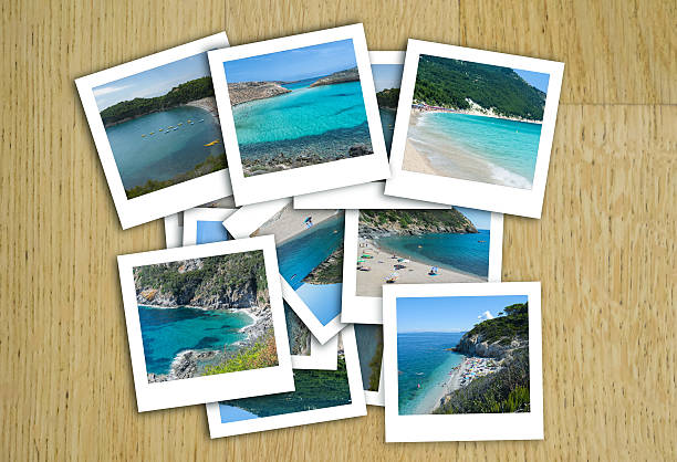 istock photos collage in a wood background 517686318
