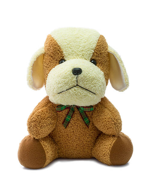 istock Small brown puppy isolated on white background. 517688658