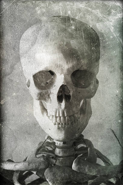 istock Old Photo of a Skull 517690480