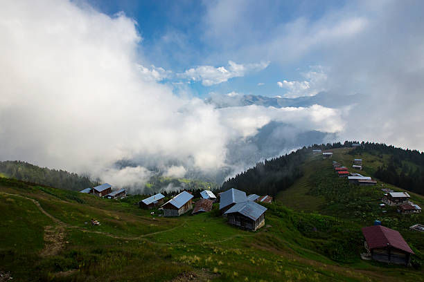 chalet di montagna - swiss culture chalet brienz european alps foto e immagini stock