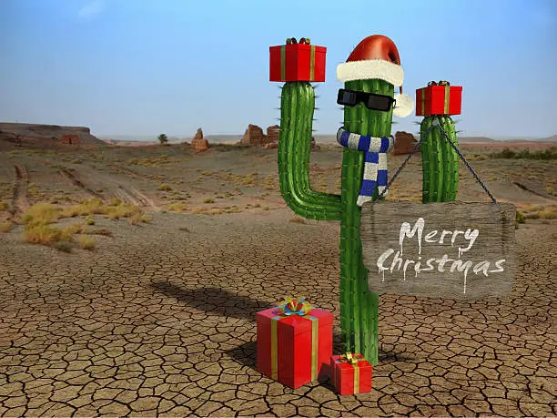 Photo of Christmas cactus